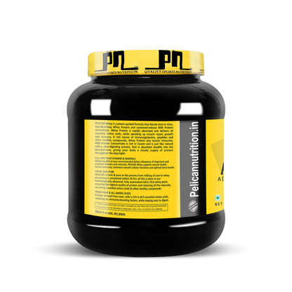 Pelican Alpha Whey Protein 1 KG  Chocolate Flavour